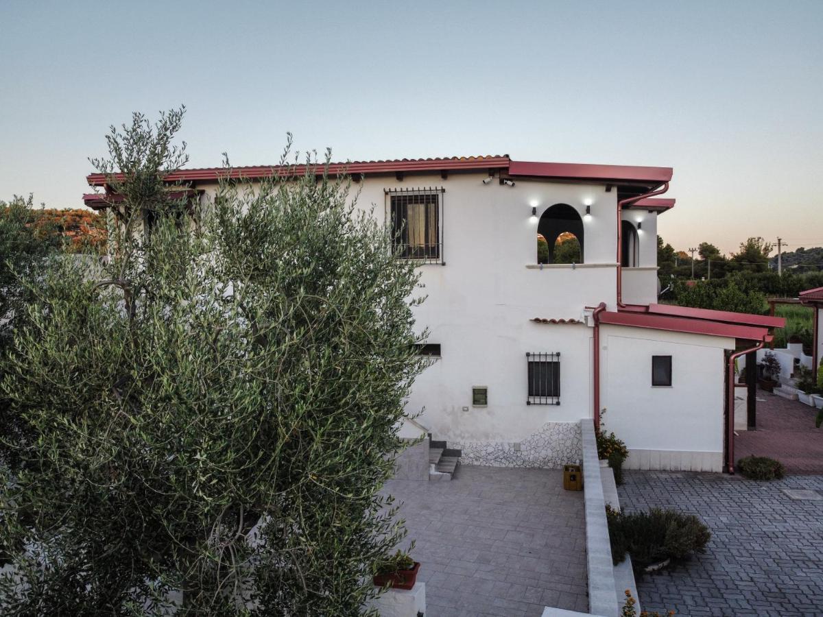 Il Giunco B&B Βιέστε Εξωτερικό φωτογραφία