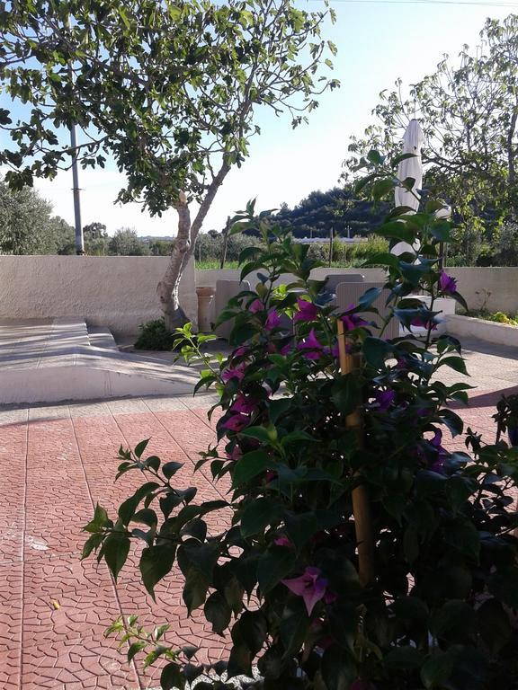 Il Giunco B&B Βιέστε Εξωτερικό φωτογραφία