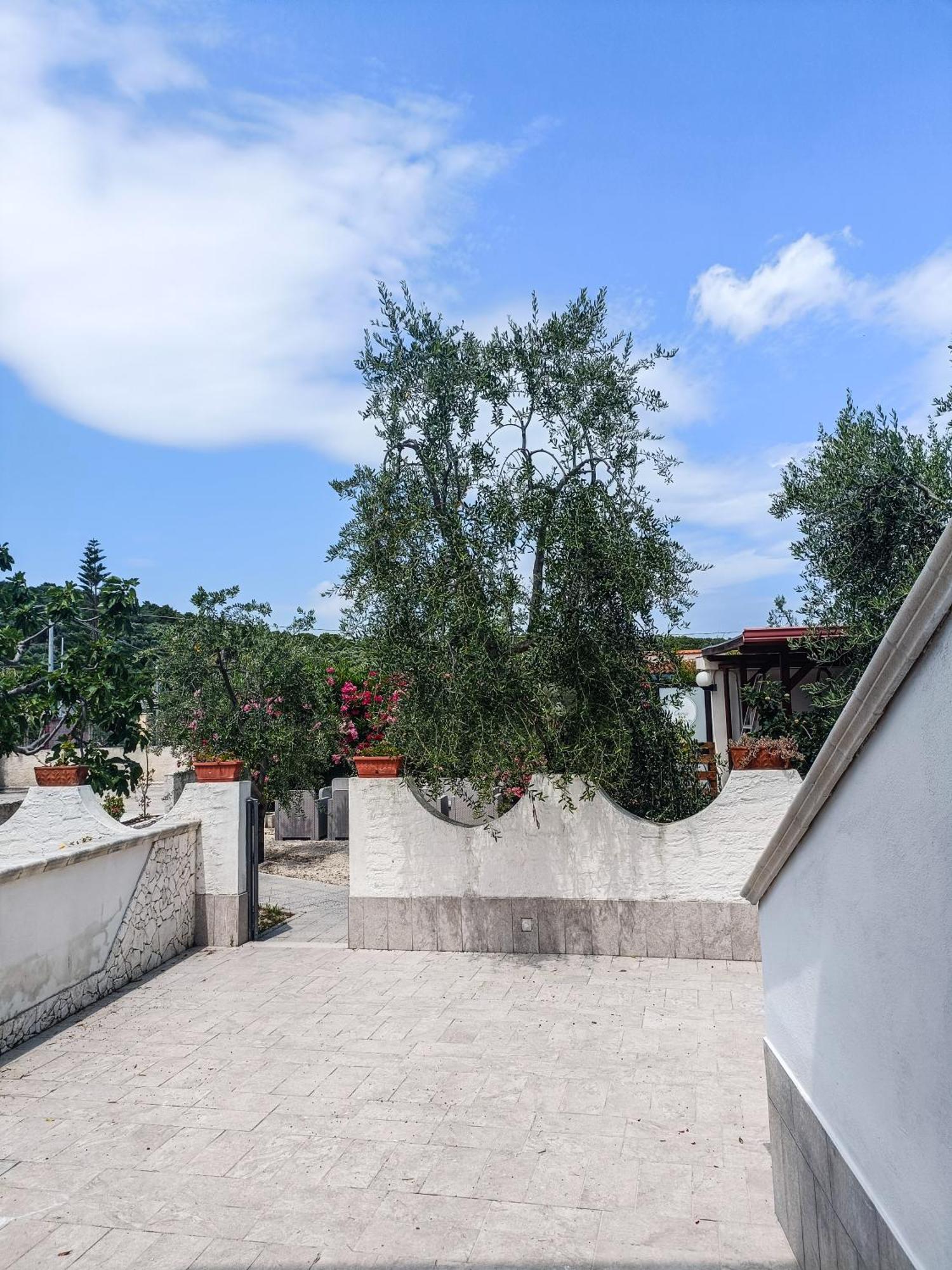 Il Giunco B&B Βιέστε Εξωτερικό φωτογραφία
