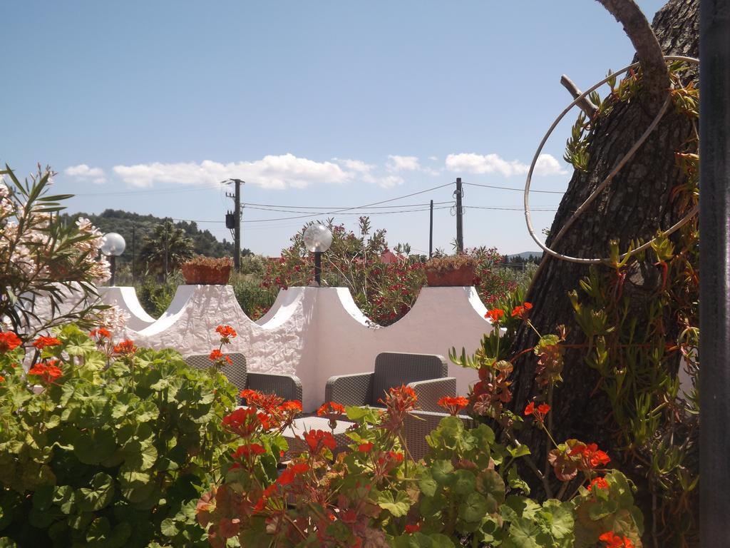 Il Giunco B&B Βιέστε Εξωτερικό φωτογραφία