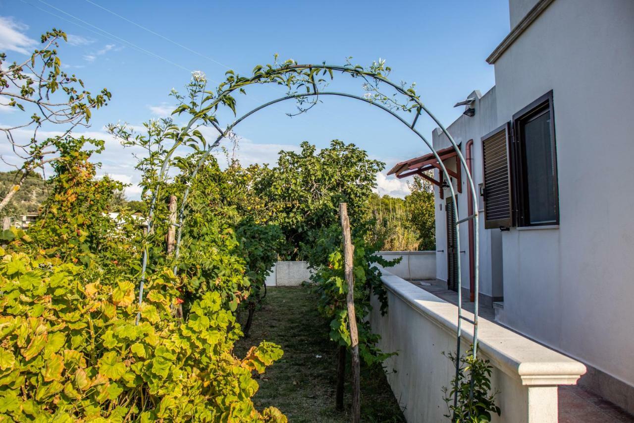 Il Giunco B&B Βιέστε Εξωτερικό φωτογραφία